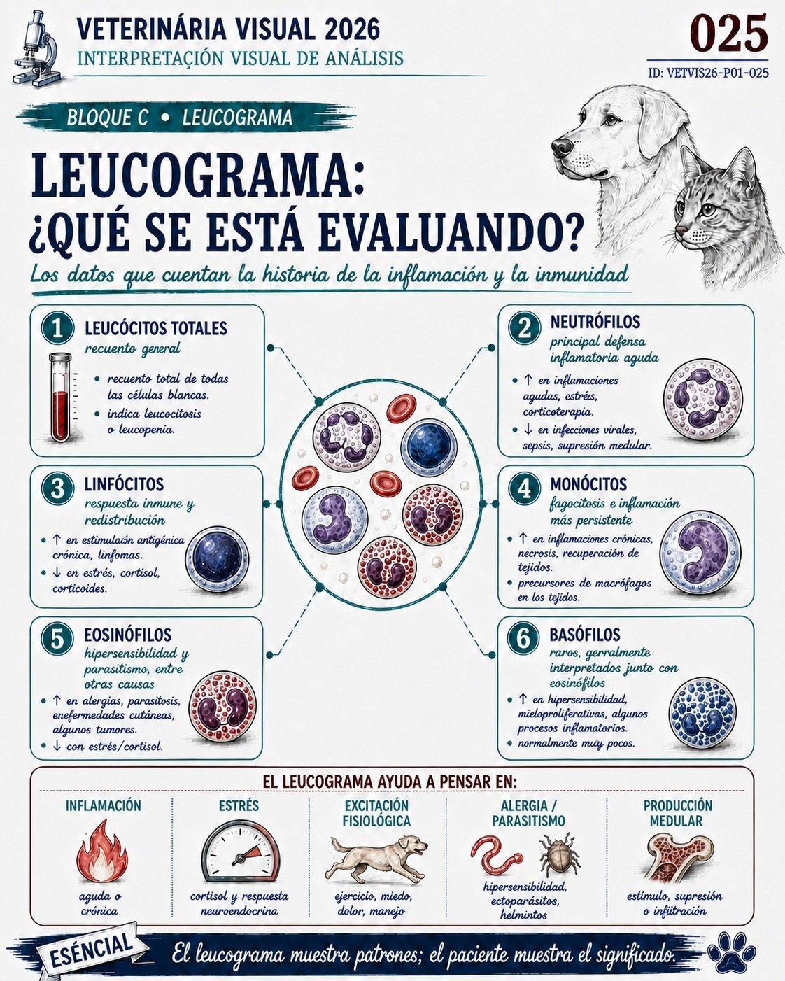 Leucograma veterinario